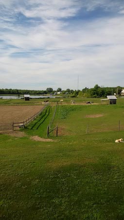 teaselwood stable-ridings