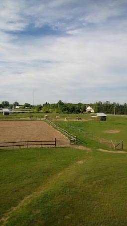 teaselwood stable-ridings