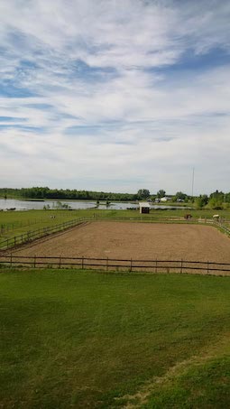 teaselwood stable-ridings