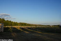 teaselwood stable-ridings