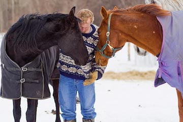 teaselwood stable-horse stables